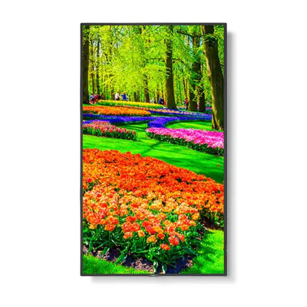 NEC M Series 55" - M551 - 4K Ultra High Definition Commercial Display