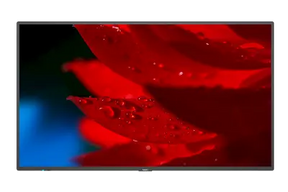 NEC-  MA Series 43" - MA431 - 4K UHD Professional Display