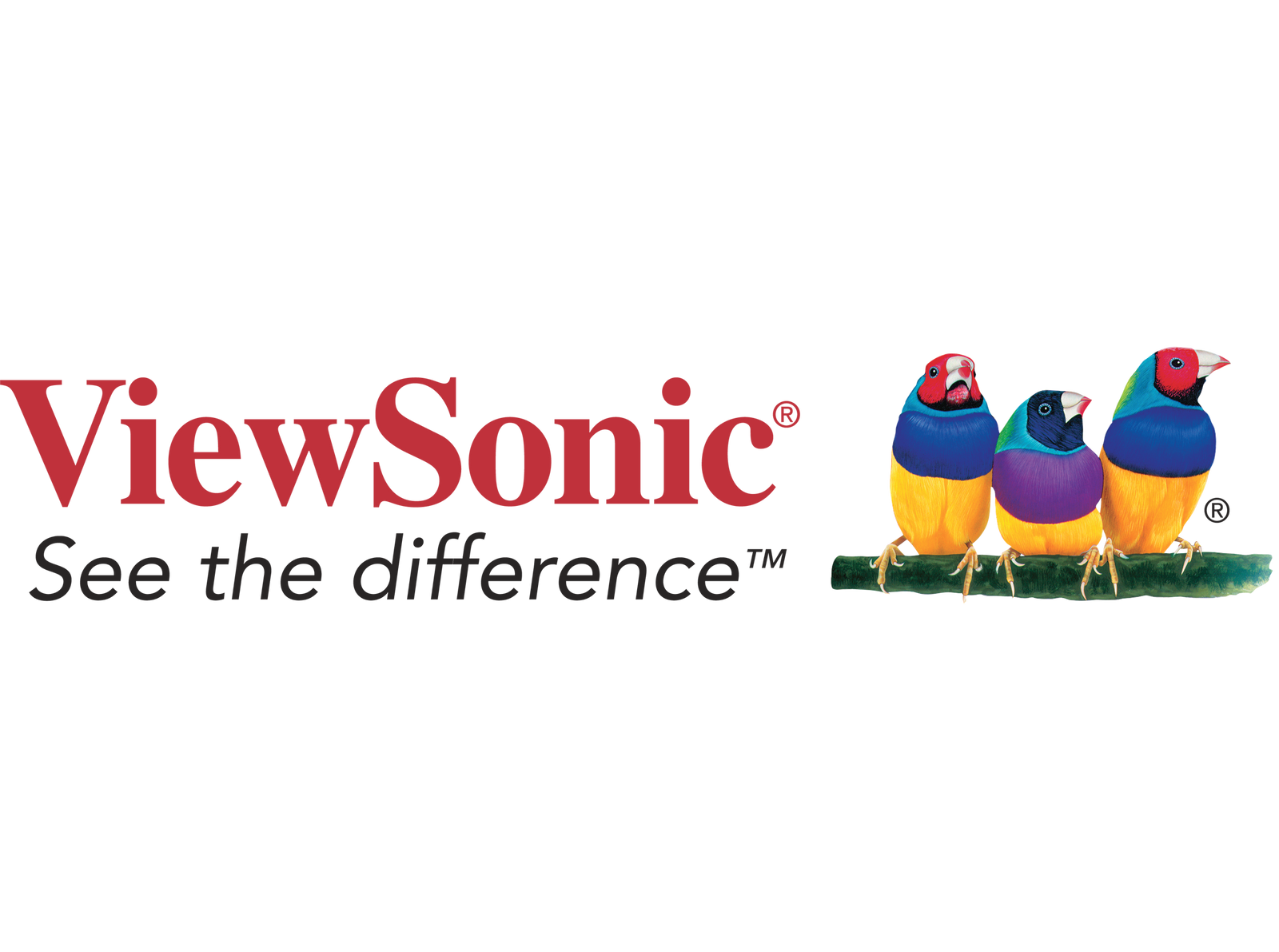 Viewsonic Projectors for Home Meetings Rooms