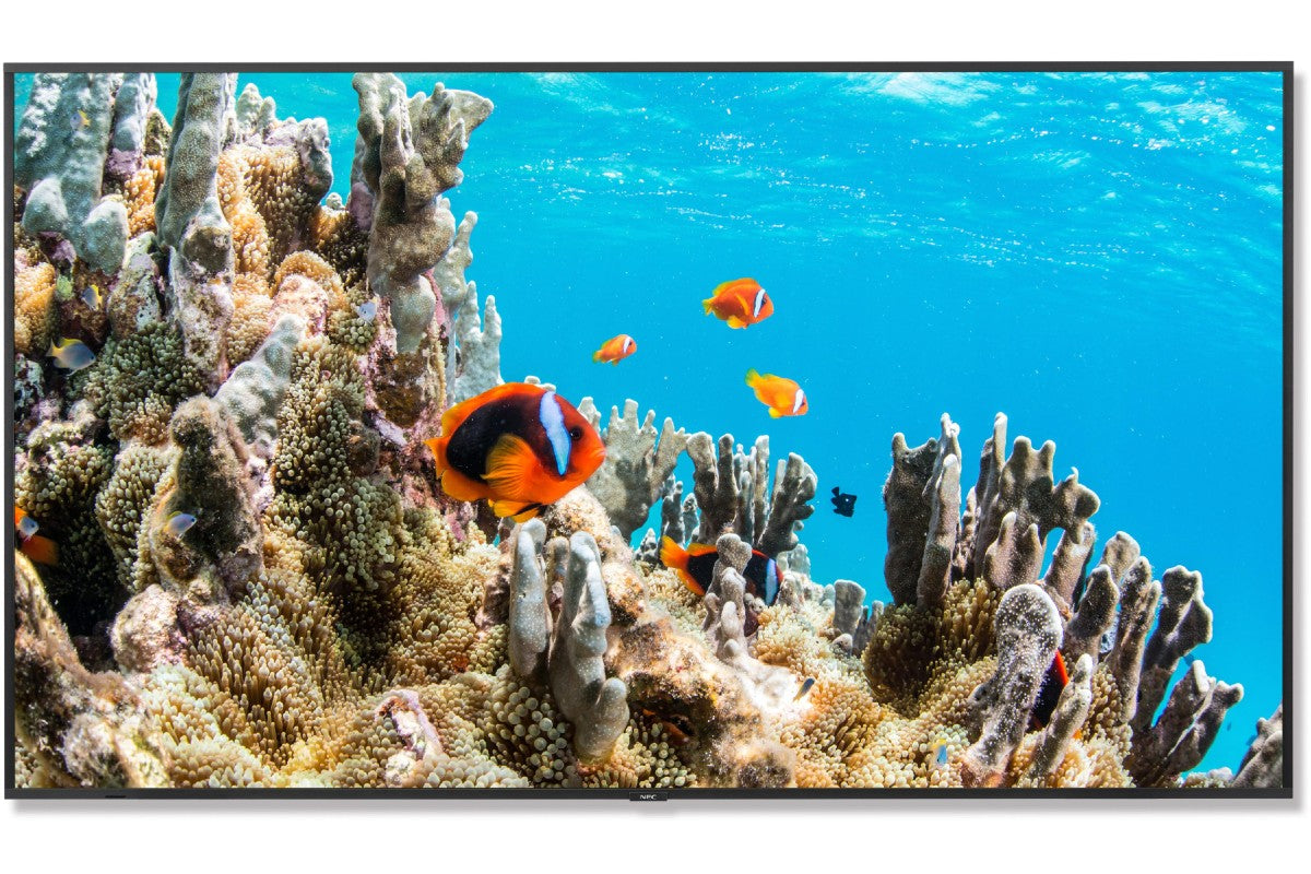 NEC E758 75" 4K Commercial Display for Presentations & Digital Signage