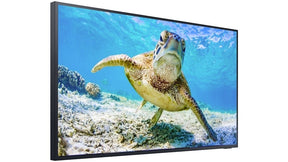Samsung 55" The Terrace QLED 4K Smart Outdoor TV