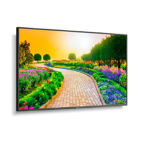 NEC M Series 65" - M651 - 4K Ultra High Definition Commercial Display