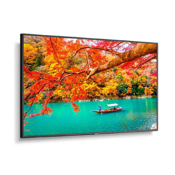 NEC MA Series 49" - MA491 - 4K UHD Professional Display