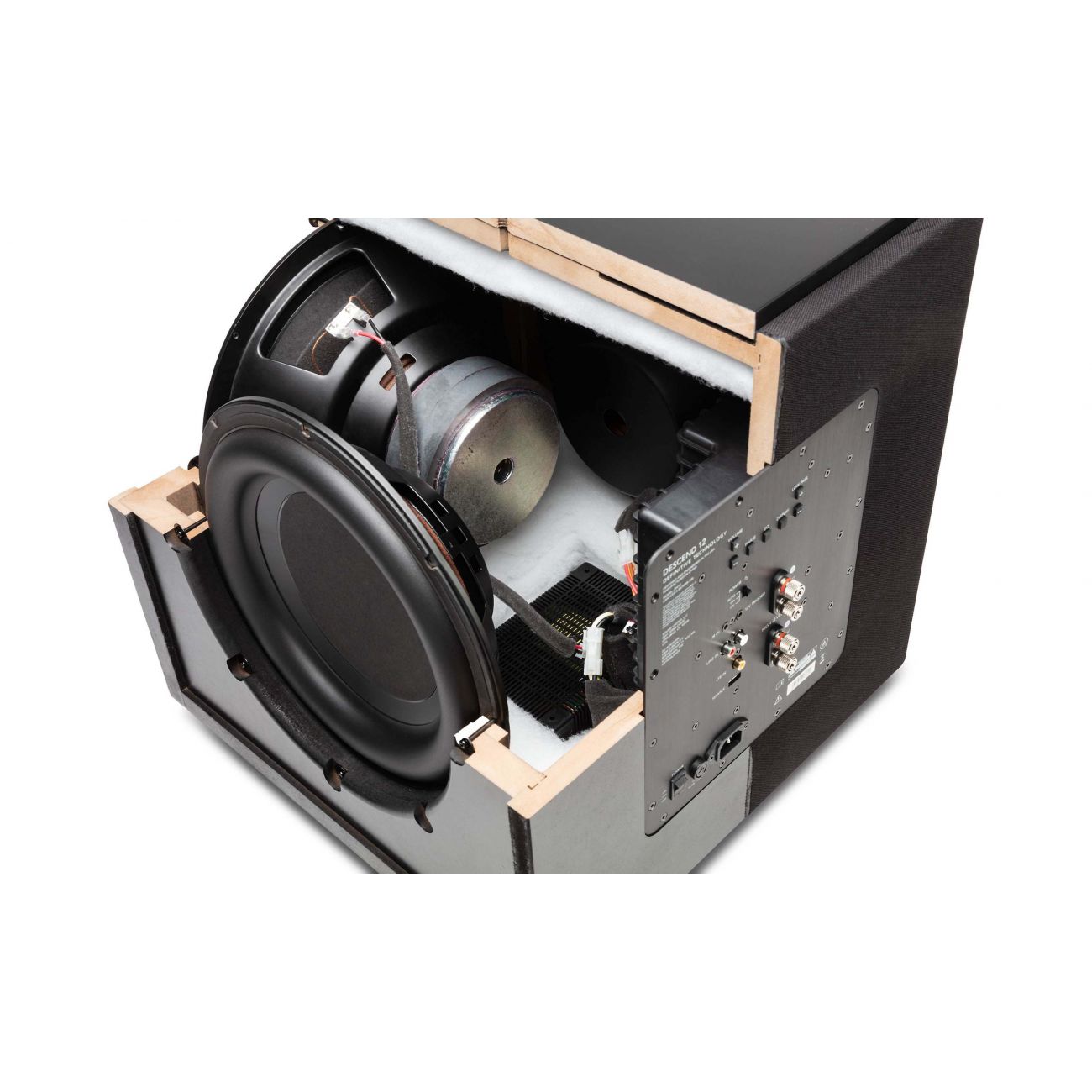 Definitive Technology DN15 15" 1500W Powered Subwoofer - Masters Voice Audio Visual