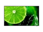 NEC 43" E438 LCD 4K - The perfect choice for corporate meeting rooms