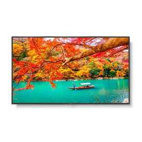 NEC MA431 43" Wide Color Gamut 4K UHD Professional Display/ 3840x2160 / 500 cd/m2/ 24/7 3Yr warranty - Masters Voice Audio Visual