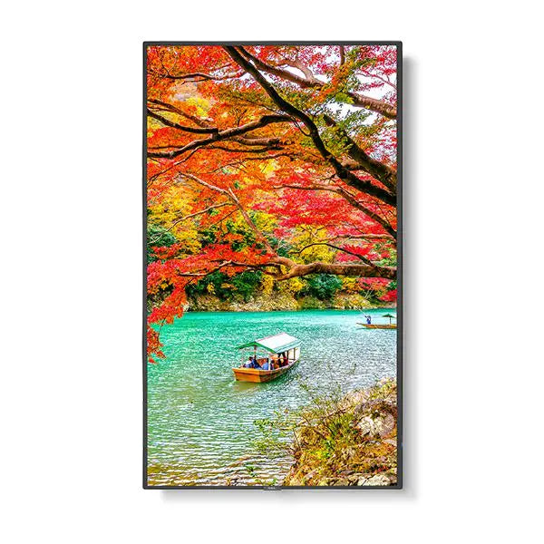 NEC MA431 43" Wide Color Gamut 4K UHD Professional Display/ 3840x2160 / 500 cd/m2/ 24/7 3Yr warranty - Masters Voice Audio Visual