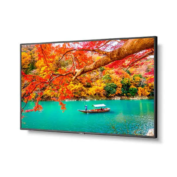 NEC MA431 43" Wide Color Gamut 4K UHD Professional Display/ 3840x2160 / 500 cd/m2/ 24/7 3Yr warranty - Masters Voice Audio Visual