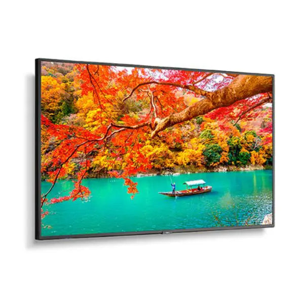 NEC MA431 43" Wide Color Gamut 4K UHD Professional Display/ 3840x2160 / 500 cd/m2/ 24/7 3Yr warranty - Masters Voice Audio Visual